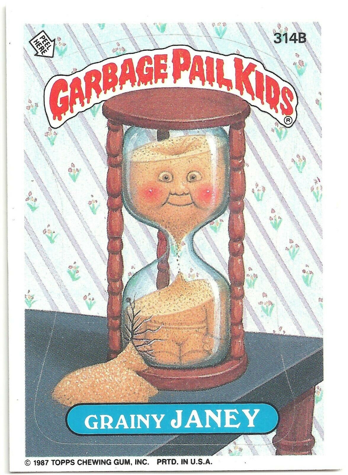 1987 Garbage Pail Kids Series 8 Trading Card #314B Grainy JANEY