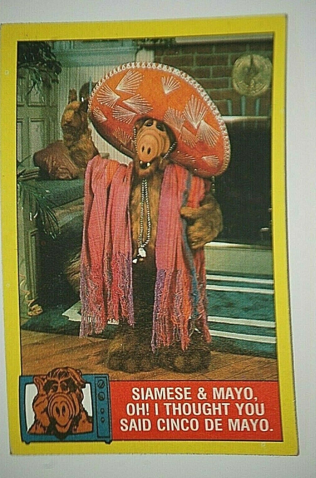 1987 Topps Alien Productions ALF #39 Non Sport Trading Card Alf TV Show