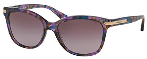 Coach HC8132 Cat Eye Sunglasses for Women + FREE Complimentary Eyewear Kit