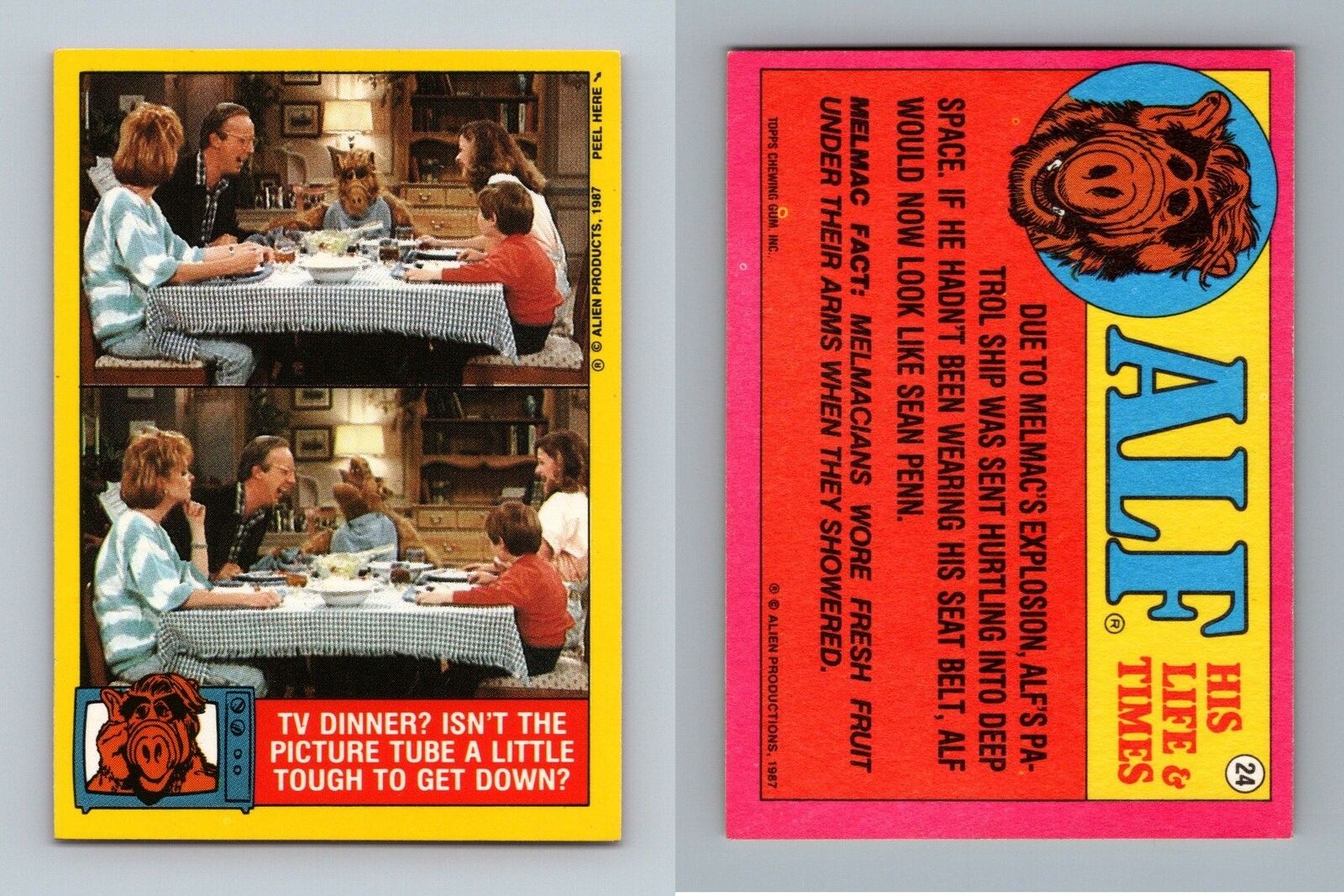 TV Dinner? #24 Alf 1987 Topps Small Trading Card / Sticker