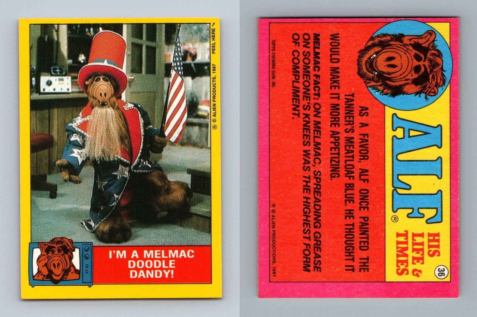 Melmac Doodle Dandy #36 Alf 1987 Topps Small Trading Card / Sticker