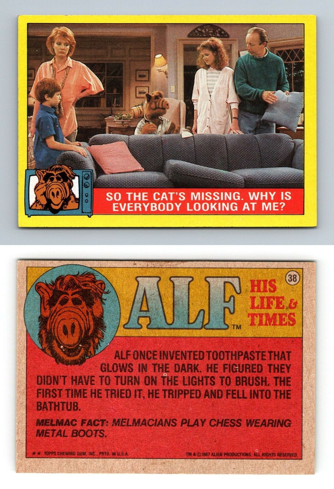Cat's Missing #38 Alf 1987 Topps Large Trading Card