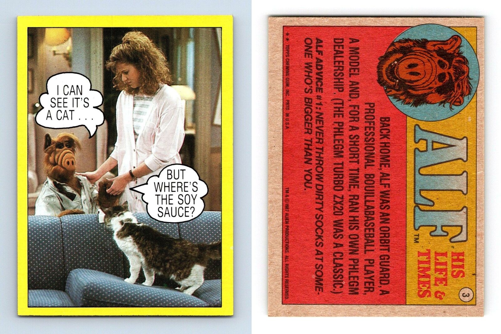 I Can See it's A Cat #3 Alf 1987 Topps Large Trading Card