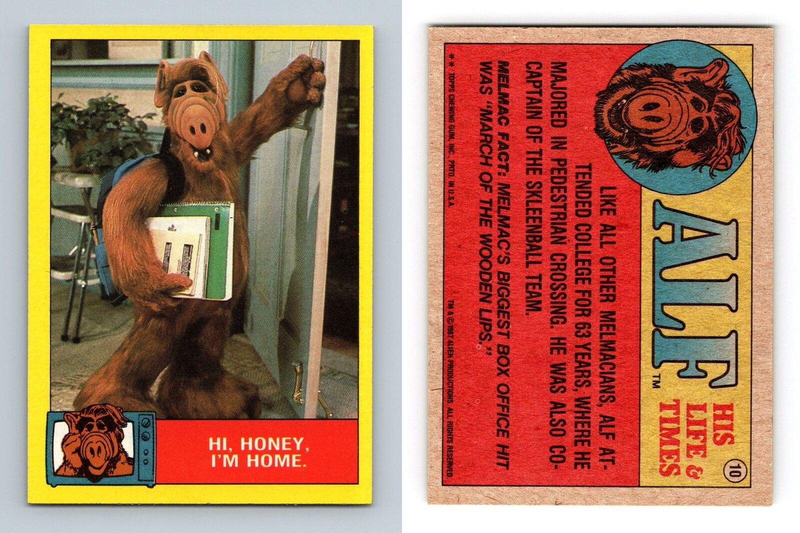 Hi Honey I'm Home #10 Alf 1987 Topps Large Trading Card
