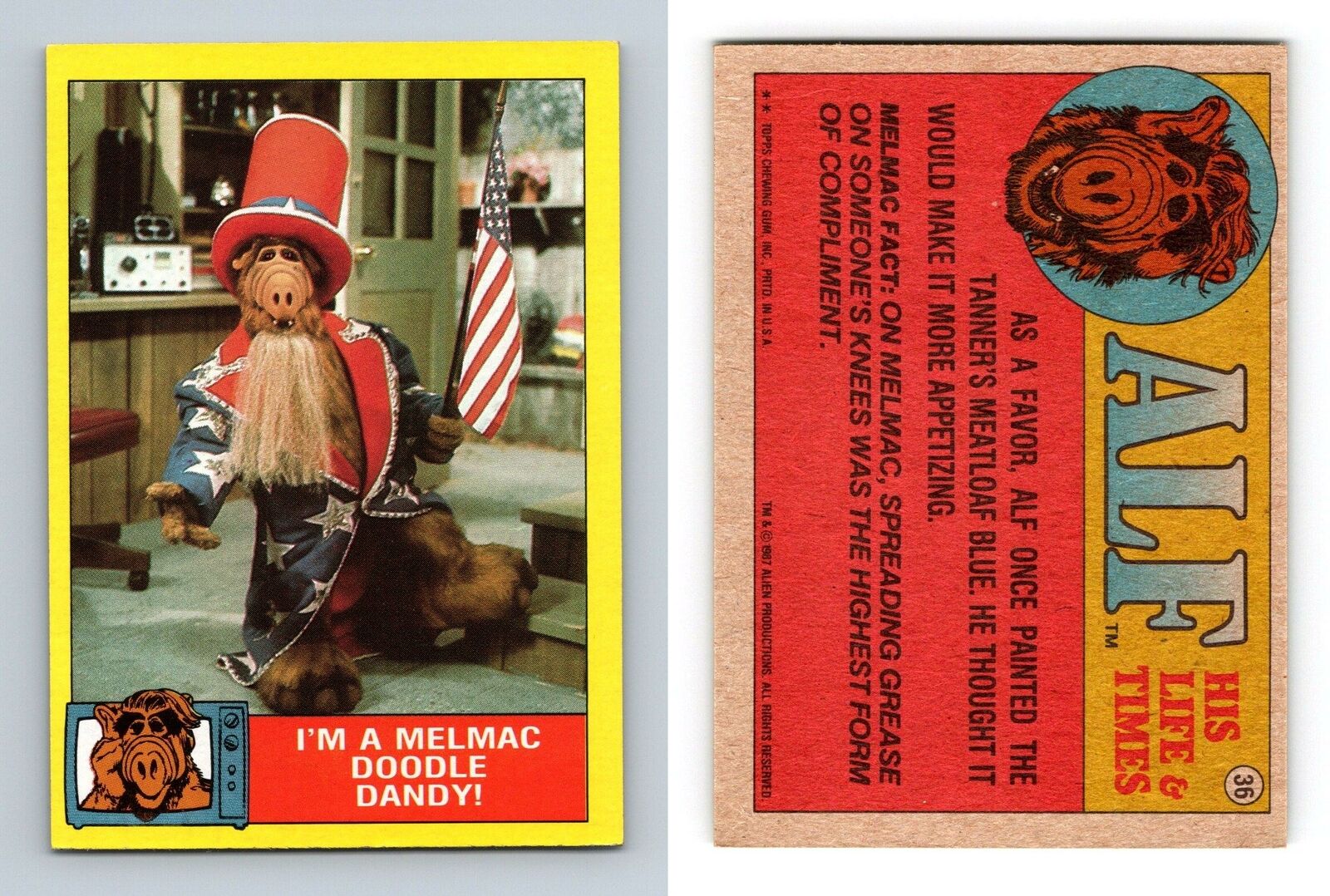 I'm A Melmac Doodle Dandy #36 Alf 1987 Topps Large Trading Card